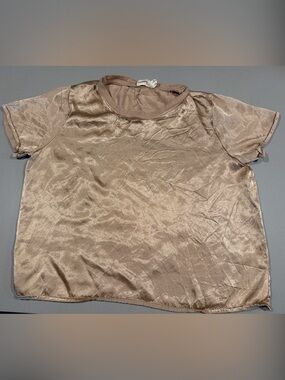 Women's Shimmery Short-Sleeve Blouse - Taupe